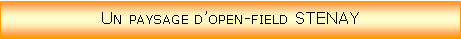 Zone de Texte: Un paysage dopen-field STENAY