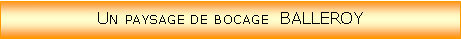 Zone de Texte: Un paysage de bocage  BALLEROY