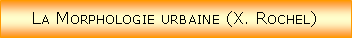 Zone de Texte: La Morphologie urbaine (X. Rochel)