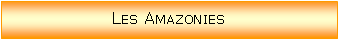 Zone de Texte: Les Amazonies