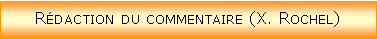 Zone de Texte: Rdaction du commentaire (X. Rochel)