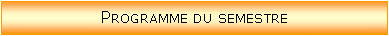 Zone de Texte: Programme du semestre
