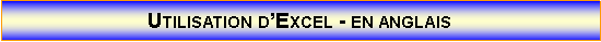 Zone de Texte: Utilisation dExcel - en anglais