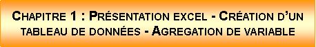 Zone de Texte: Chapitre 1 : Prsentation excel - Cration dun tableau de donnes - Agregation de variable