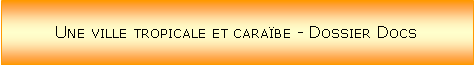 Zone de Texte: Une ville tropicale et caraïbe - Dossier Docs
